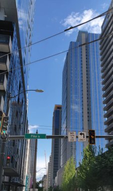 Yaz boyunca Seattle, Washington manzarası