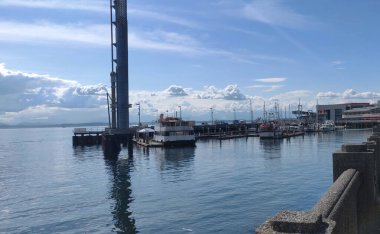 Seattle 'da Puget Sound' da bir marina.