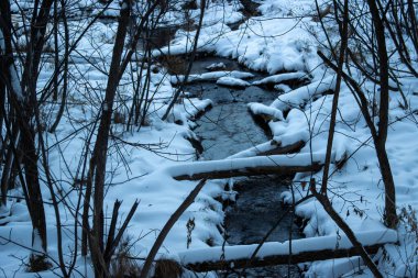 Kış ormanlarında akan küçük bir dere.