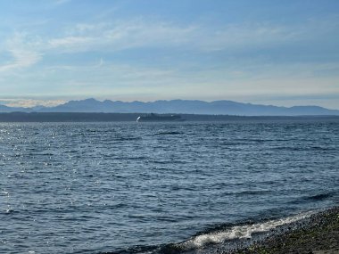 Washington 'daki Olimpiyat Dağları manzaralı Puget Sound' da bir yolcu gemisi.
