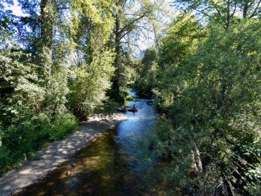 Yaz mevsiminde Issaquah Deresi