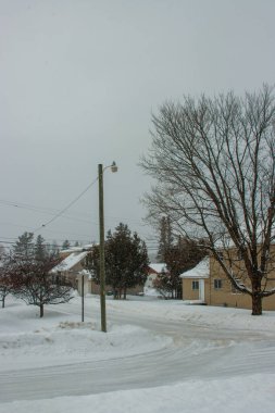 Karla kaplı ağaçlarla kaplı kış manzarası