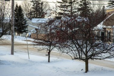 Norveç, Michigan 'da bir kış sokağı