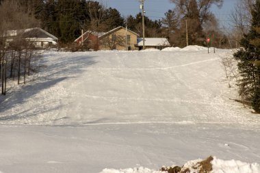 bir ormanda kış manzarası