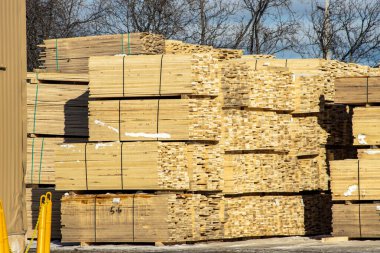 Bahçeye odun yığını