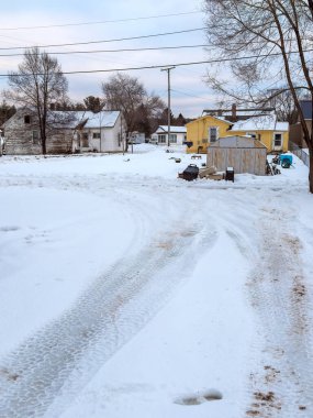 Siyah beyaz Boston teriyeri. Pembe yakalı, karda oynayan.