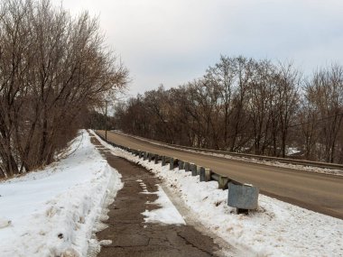 Siyah beyaz Boston teriyeri. Pembe yakalı, karda oynayan.