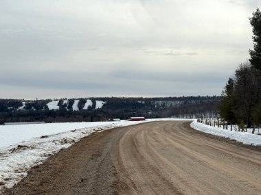 Ağaçlı kırsal yol