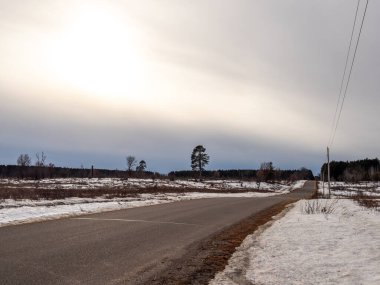 Kış ormanında yol