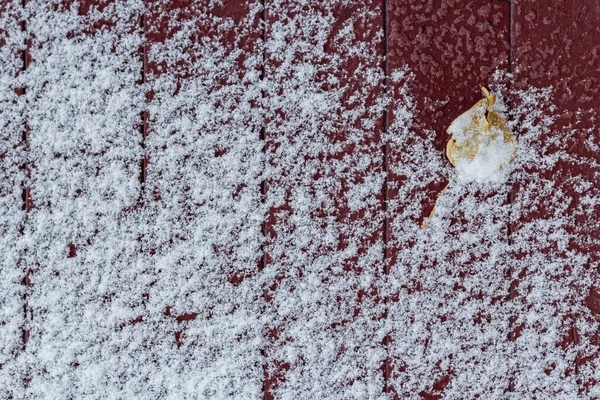 Folha Árvore Chão Convés Maroon Nevado Pátio Terraço Vista Superior — Fotografia de Stock