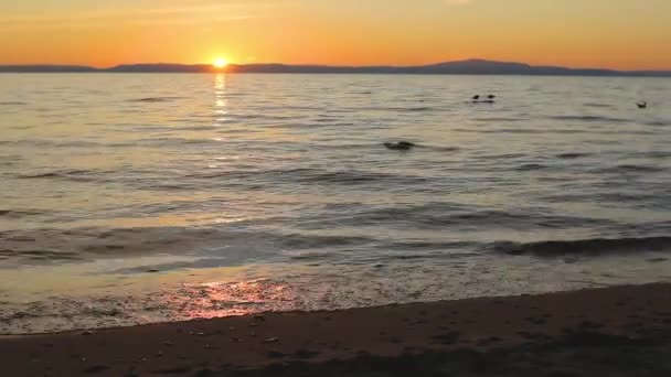 Vacker Naturskön Solnedgång Sjön Baikal Mörka Lynniga Färger Ljusa Solnedgångar — Stockvideo