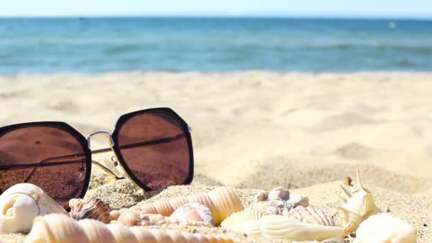 Seashells Sunglasses Sand Deserted Summer Beach Blurred Background Turquoise Sea — Stock Video