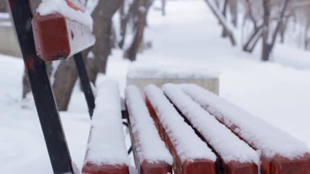 Chute Neige Dans Parc Public Hiver Banc Vide Sous Neige — Video