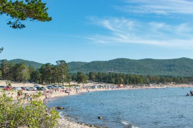 Tatilcileri ve tepelerinde kozalaklı ormanları olan halk plajı. Sakin güneşli yaz manzarası.