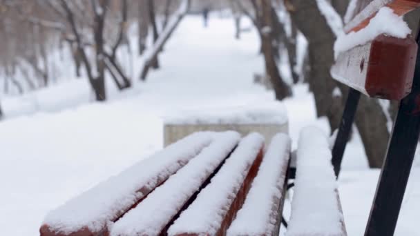 Snöfall i vinterparken, tom bänk under snö med snödrev vid gångbana i gränd under snöig säsong — Stockvideo