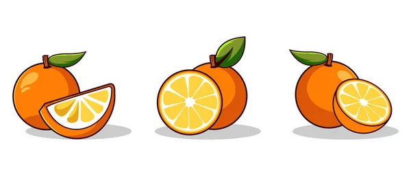 Naranja Fruta Conjunto Elemento Vector Elemento Ilustrativo Editable — Archivo Imágenes Vectoriales