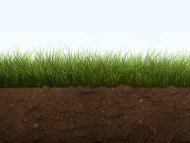 çim ve toprak