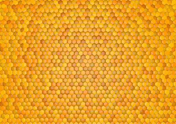 Honey hexagon — Stock Photo, Image