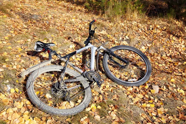 Mountainbike in der Natur — Stockfoto