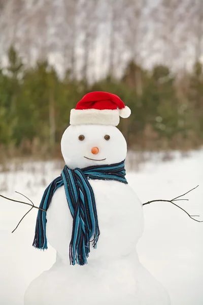 Pupazzo di neve in una foresta — Foto Stock