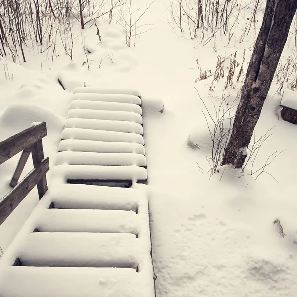 Trappor täckta med snö — Stockfoto