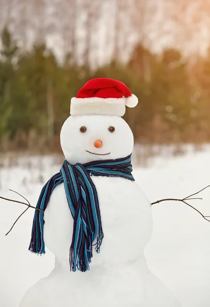 Bonhomme de neige dans une forêt — Photo