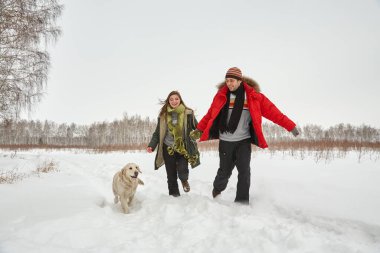 Kış yürüyüşüne çıkmış köpeği olan genç bir çift. Labrador 'lu kadın ve erkek.