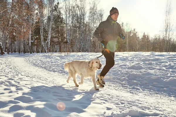 ラブラドールレトリバー犬所有者と冬のアウトドアジョギングスポーツをやって — ストック写真