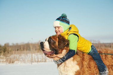 Aktif küçük çocuk at sırtında Kışın St. Bernard köpeği