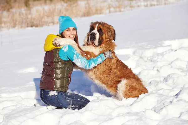 St Bernard pies z kobietą bawiącą się w śniegu w zimie na świeżym powietrzu — Zdjęcie stockowe