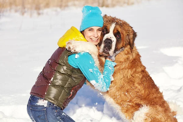 Собака св. Бернарда с женщиной, играющей в снегу на улице зимой — стоковое фото