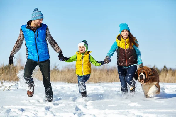 Felice giocando famiglia con il cane San Bernardo in inverno. persone all'aperto — Foto Stock