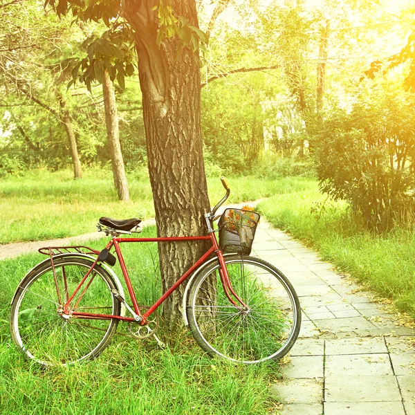 Vintage bicycle — Stockfoto