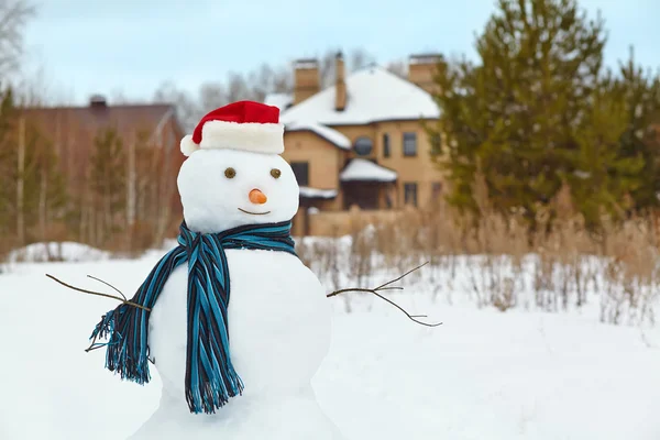 Pupazzo di neve in una foresta — Foto Stock