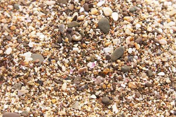 砂和石鹅卵石 — 图库照片