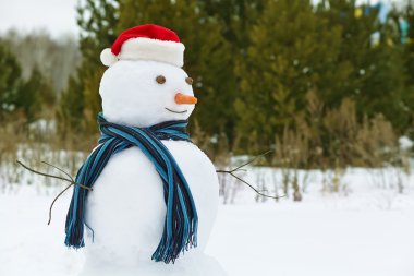 bir ormandaki kardan adam