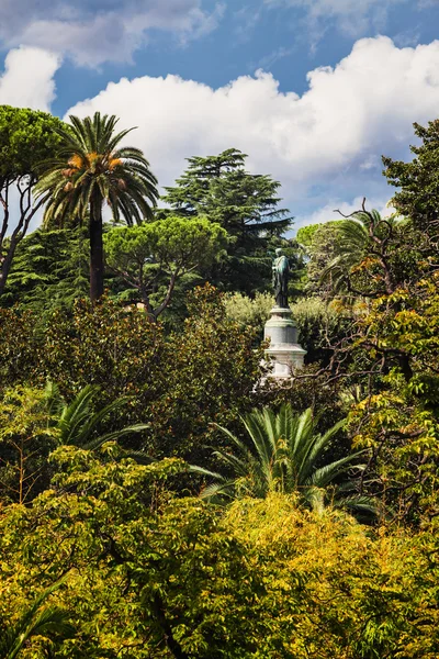 Vista sul giardino — Foto Stock