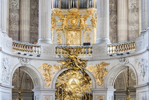 Çiçekteki bal arısı