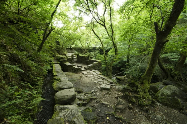 Ruinas de un antiguo molino en el parque natural "Fragas del Eume " — Foto de Stock