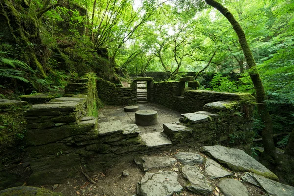 Rovine di un vecchio mulino nel parco naturale "Fragas del Eume " Immagine Stock