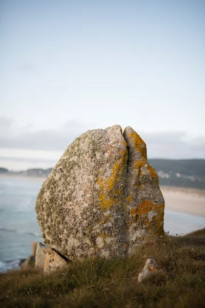 Dettaglio di una roccia con muschio e licheni — Foto Stock