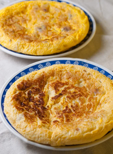 Dwóch hiszpański omlet — Zdjęcie stockowe