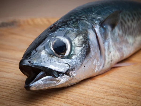 Detalhe cabeça de peixe — Fotografia de Stock
