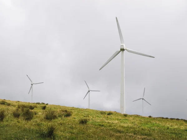 Větrné mlýny v přírodě — Stock fotografie