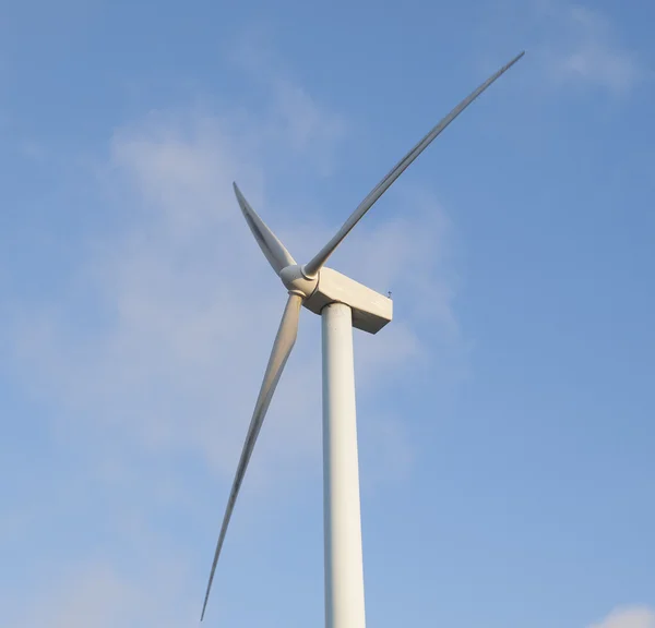 One wind turbine — Stock Photo, Image