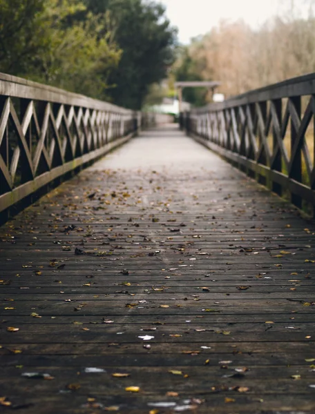 Wooden boardwalt in a park — Stock Photo, Image