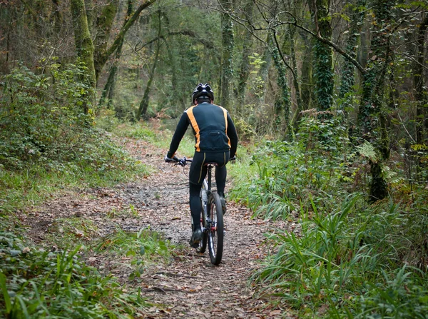 Ciclista practicando bicicleta de montaña en un sendero forestal . —  Fotos de Stock