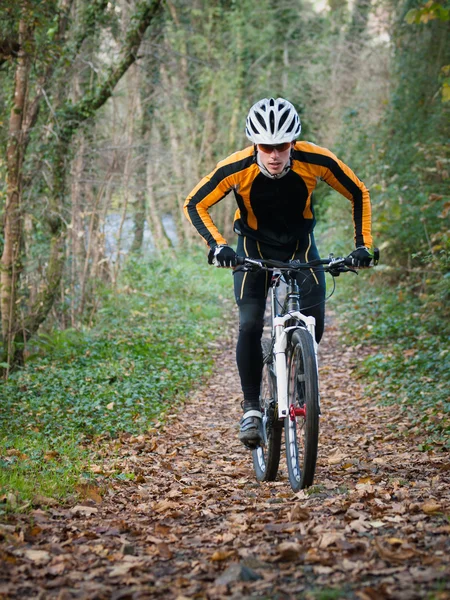 Rowerzysta na rowerze górskim, jazda konna w lesie — Zdjęcie stockowe