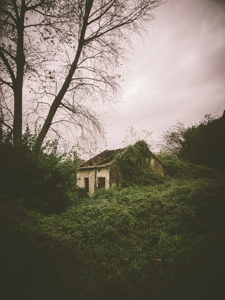Abandoned house in nature