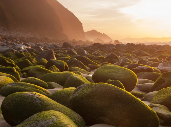 Playa con rocas al atardecer — Foto de Stock